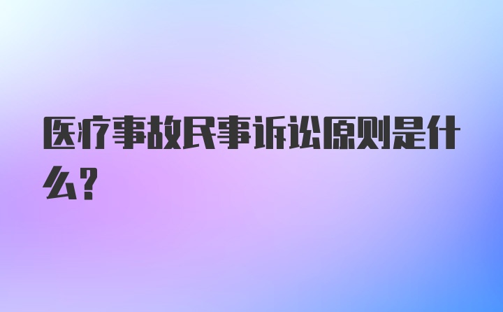 医疗事故民事诉讼原则是什么？