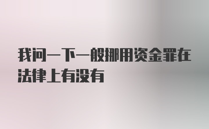 我问一下一般挪用资金罪在法律上有没有