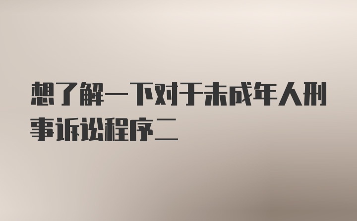 想了解一下对于未成年人刑事诉讼程序二