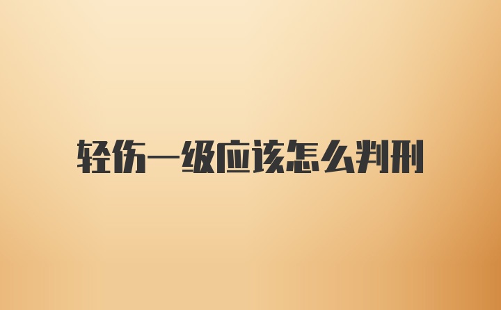 轻伤一级应该怎么判刑