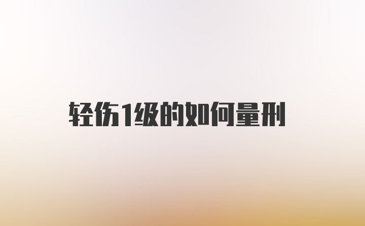 轻伤1级的如何量刑