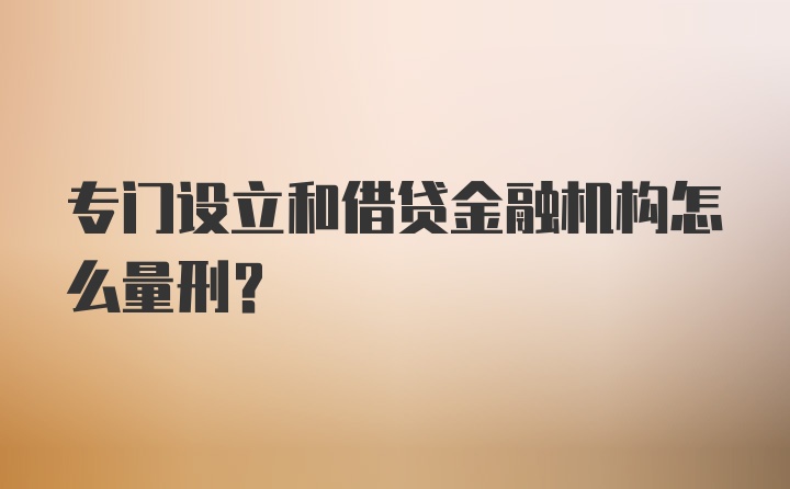 专门设立和借贷金融机构怎么量刑？