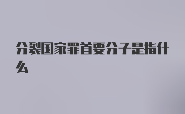 分裂国家罪首要分子是指什么