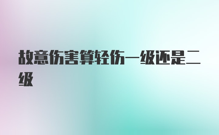 故意伤害算轻伤一级还是二级