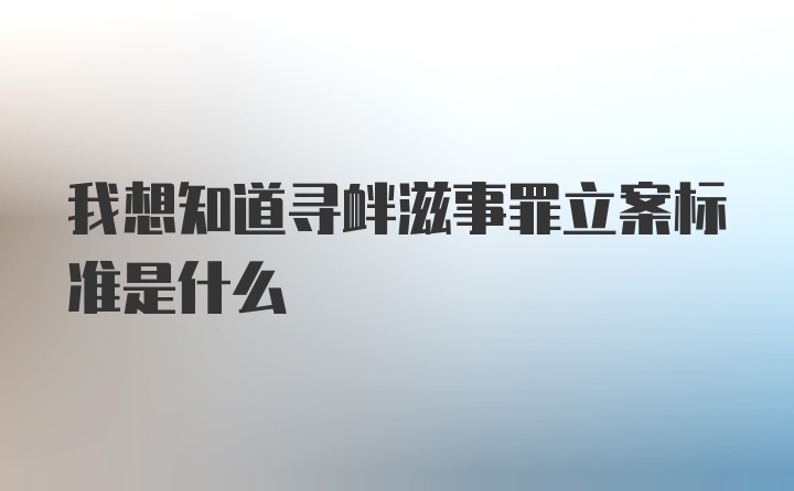 我想知道寻衅滋事罪立案标准是什么