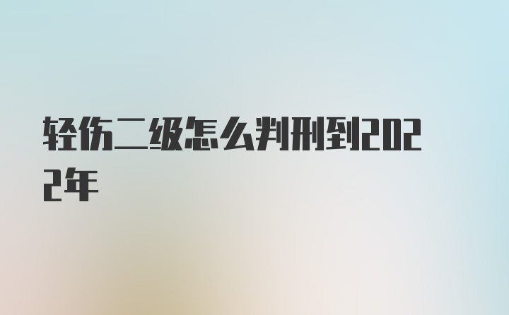 轻伤二级怎么判刑到2022年