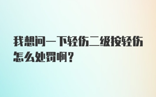 我想问一下轻伤二级按轻伤怎么处罚啊？