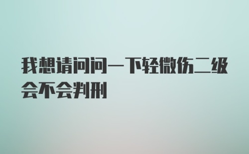 我想请问问一下轻微伤二级会不会判刑