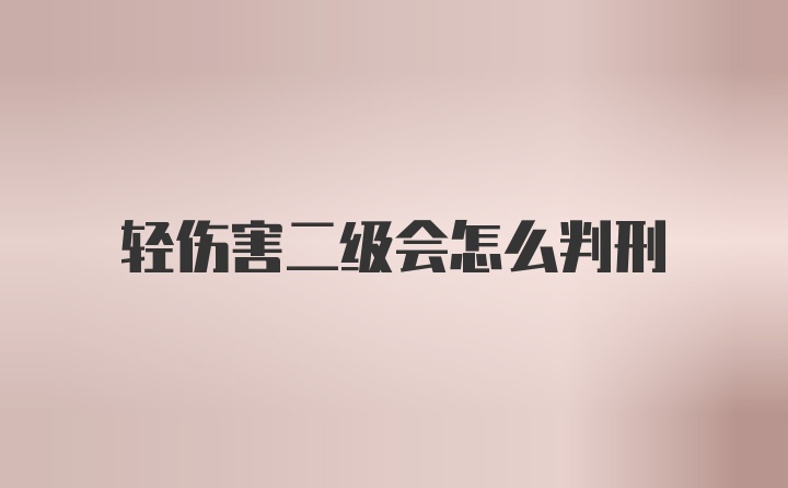 轻伤害二级会怎么判刑