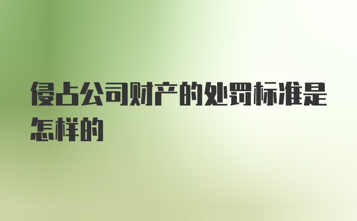 侵占公司财产的处罚标准是怎样的