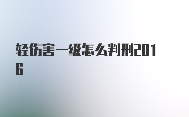 轻伤害一级怎么判刑2016