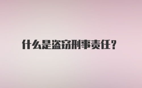 什么是盗窃刑事责任？