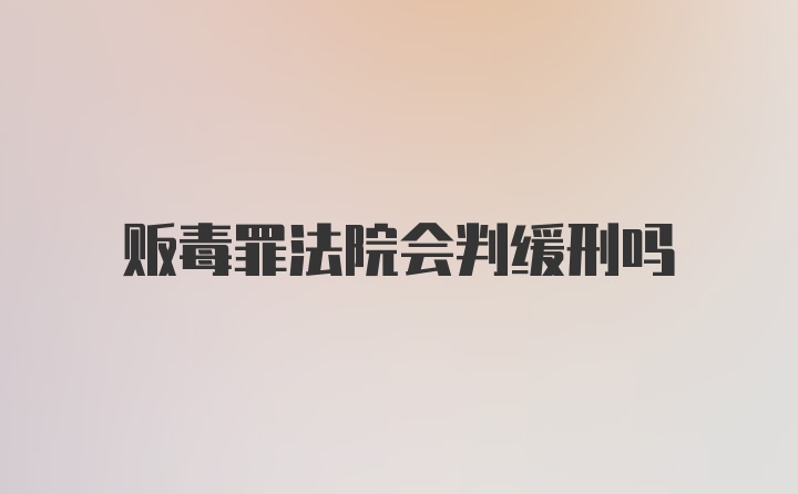 贩毒罪法院会判缓刑吗