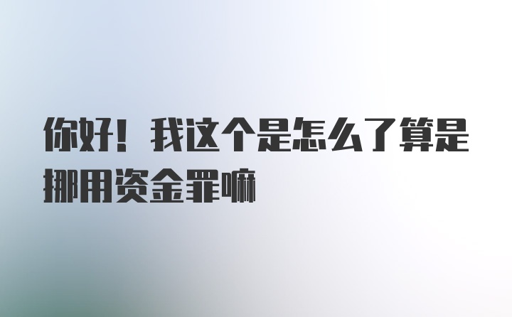 你好！我这个是怎么了算是挪用资金罪嘛