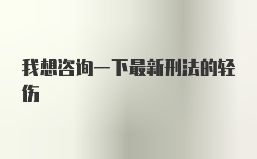 我想咨询一下最新刑法的轻伤