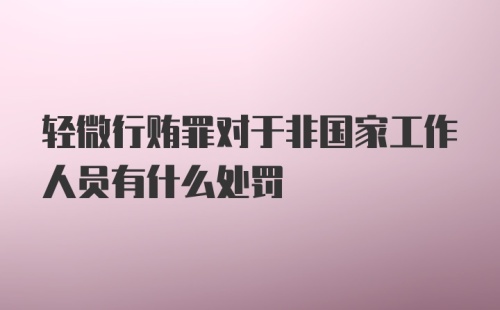 轻微行贿罪对于非国家工作人员有什么处罚