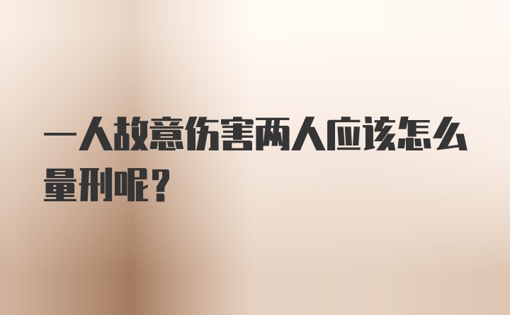 一人故意伤害两人应该怎么量刑呢？