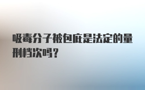 吸毒分子被包庇是法定的量刑档次吗？