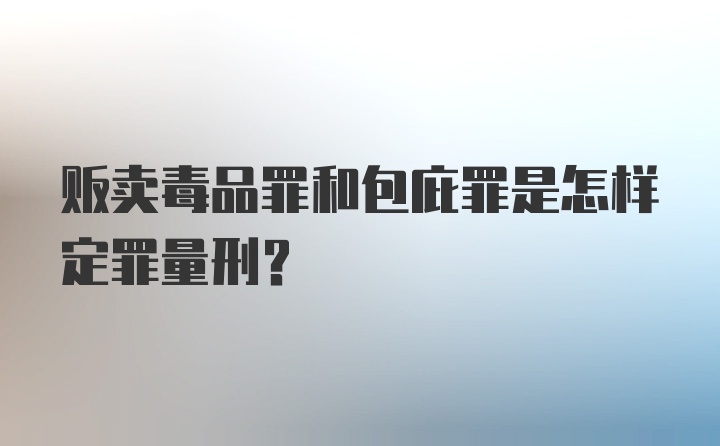 贩卖毒品罪和包庇罪是怎样定罪量刑？