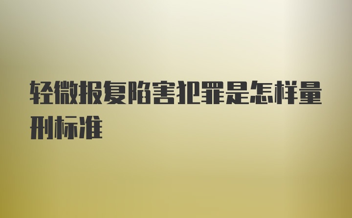 轻微报复陷害犯罪是怎样量刑标准