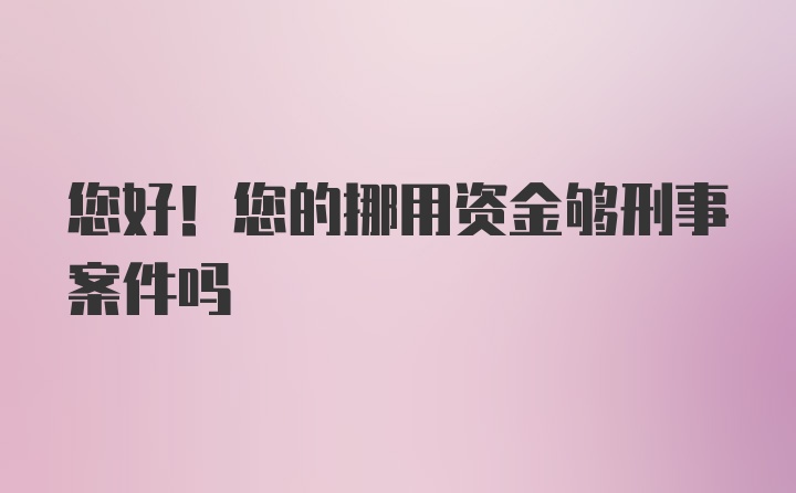 您好！您的挪用资金够刑事案件吗