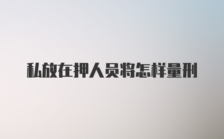 私放在押人员将怎样量刑