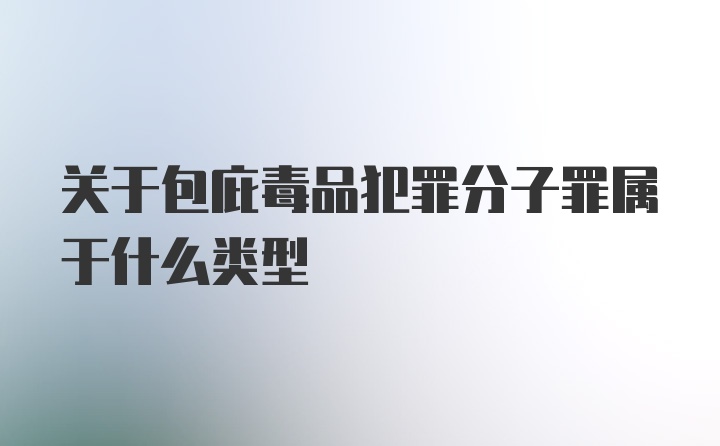 关于包庇毒品犯罪分子罪属于什么类型