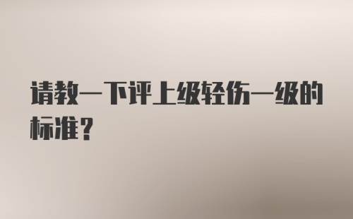 请教一下评上级轻伤一级的标准？