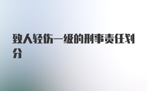 致人轻伤一级的刑事责任划分