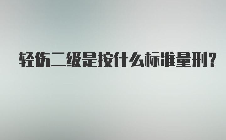 轻伤二级是按什么标准量刑？