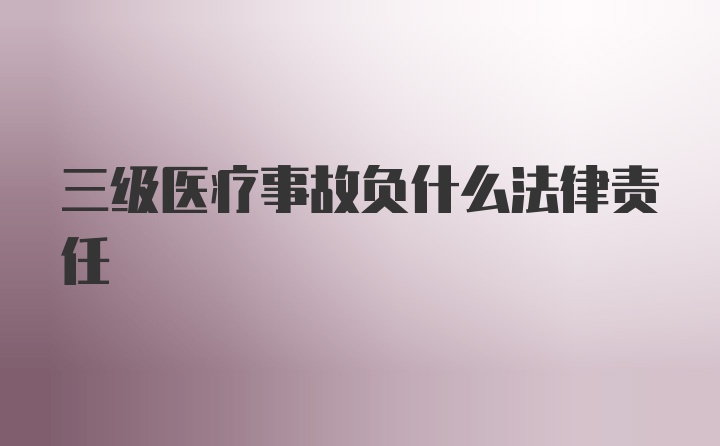 三级医疗事故负什么法律责任