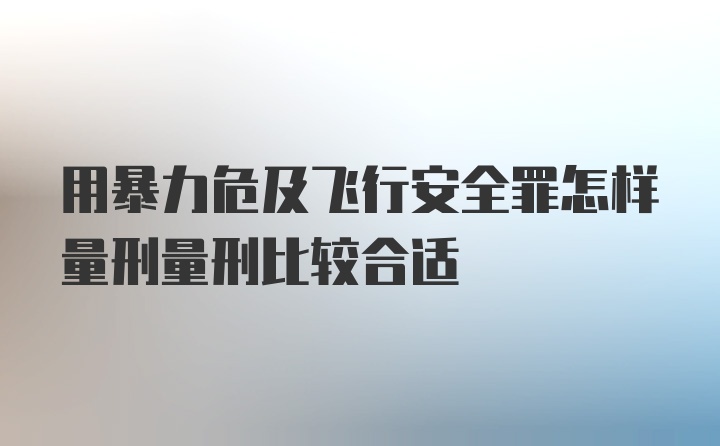 用暴力危及飞行安全罪怎样量刑量刑比较合适