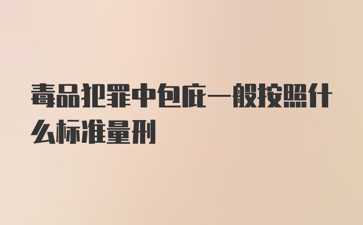 毒品犯罪中包庇一般按照什么标准量刑