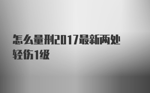 怎么量刑2017最新两处轻伤1级