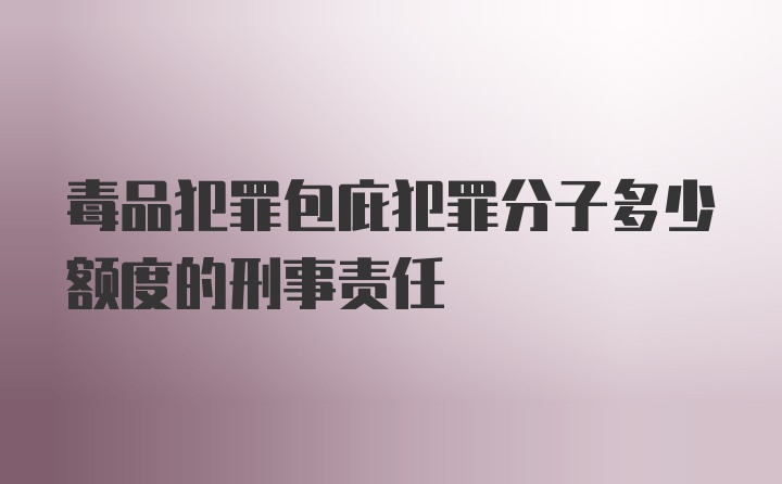 毒品犯罪包庇犯罪分子多少额度的刑事责任