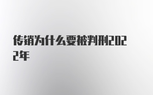 传销为什么要被判刑2022年