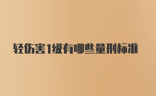 轻伤害1级有哪些量刑标准