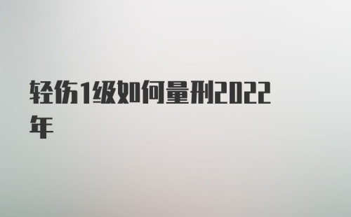 轻伤1级如何量刑2022年