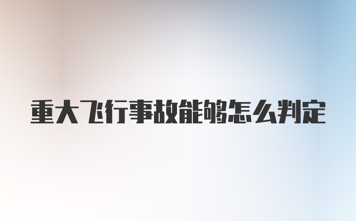 重大飞行事故能够怎么判定