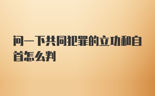 问一下共同犯罪的立功和自首怎么判