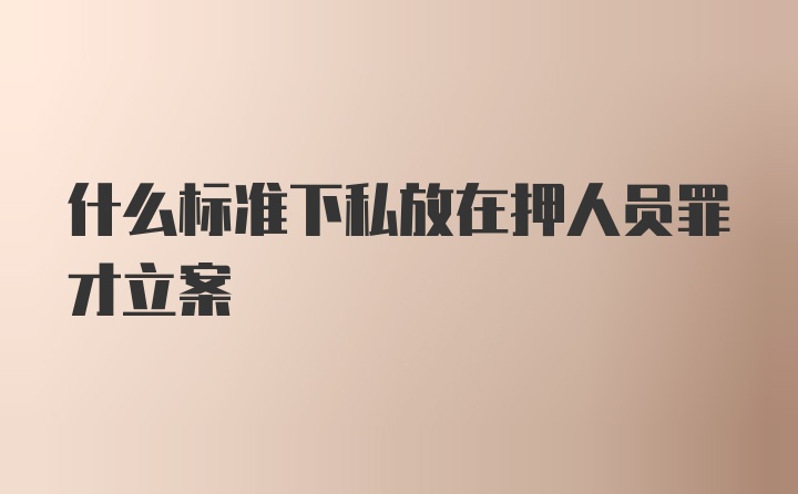 什么标准下私放在押人员罪才立案