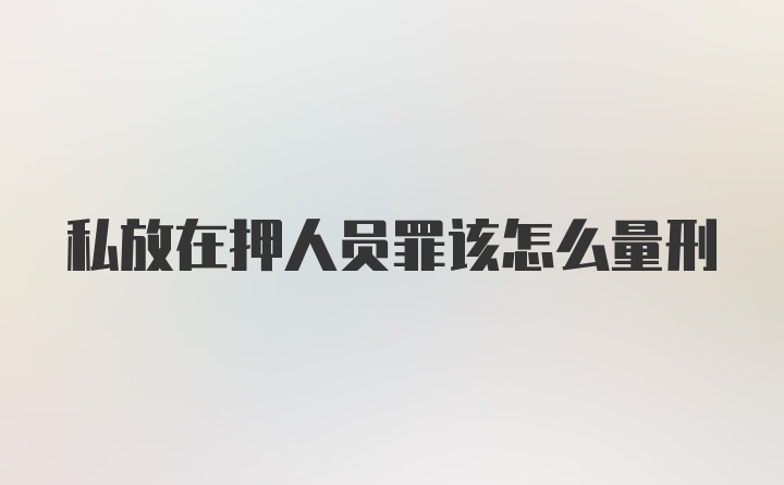 私放在押人员罪该怎么量刑