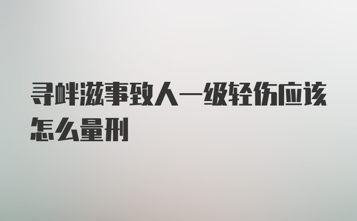 寻衅滋事致人一级轻伤应该怎么量刑