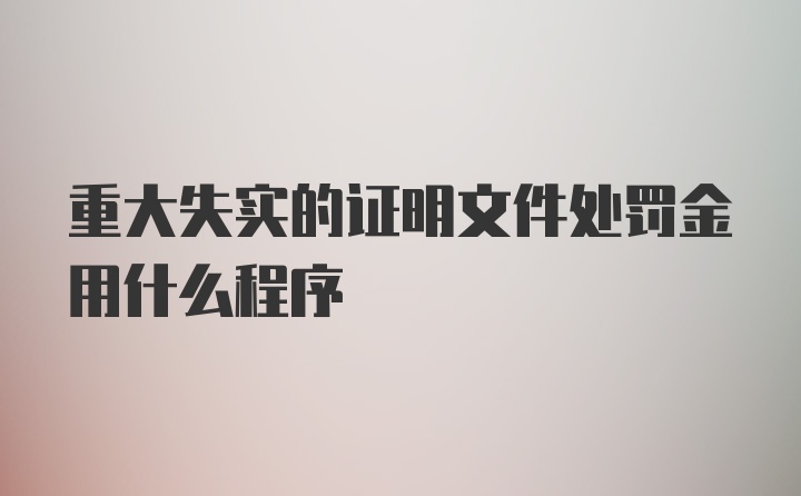 重大失实的证明文件处罚金用什么程序