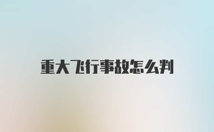 重大飞行事故怎么判