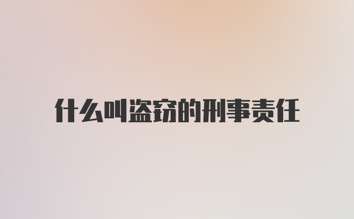 什么叫盗窃的刑事责任