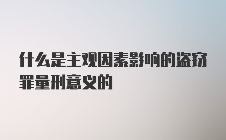 什么是主观因素影响的盗窃罪量刑意义的