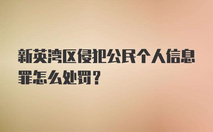 新英湾区侵犯公民个人信息罪怎么处罚？