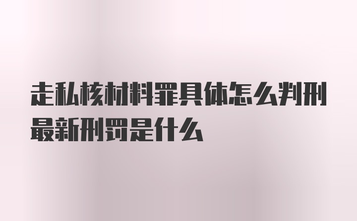 走私核材料罪具体怎么判刑最新刑罚是什么