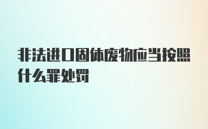 非法进口固体废物应当按照什么罪处罚